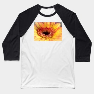 Yellow Gerber Daisy Baseball T-Shirt